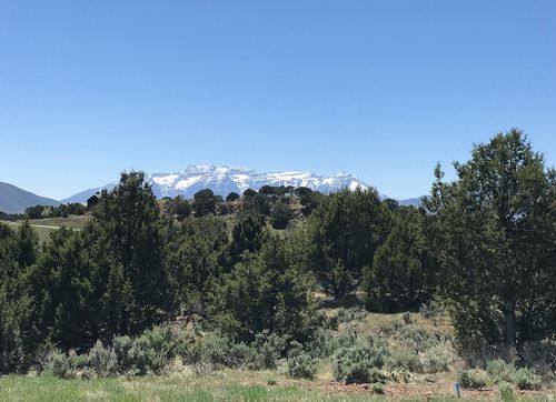 200-295 Ibapah Peak Dr, Heber City, UT, 84032-5635 | Card Image