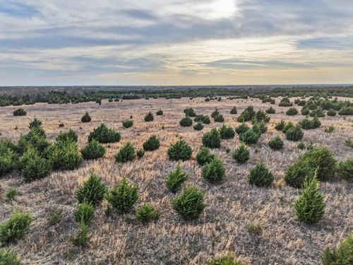 0000 Cr 3107, Bonham, TX, 75418 | Card Image