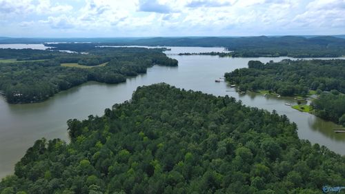 Hwy 9 County Road 92, Cedar Bluff, AL, 35959-2370 | Card Image