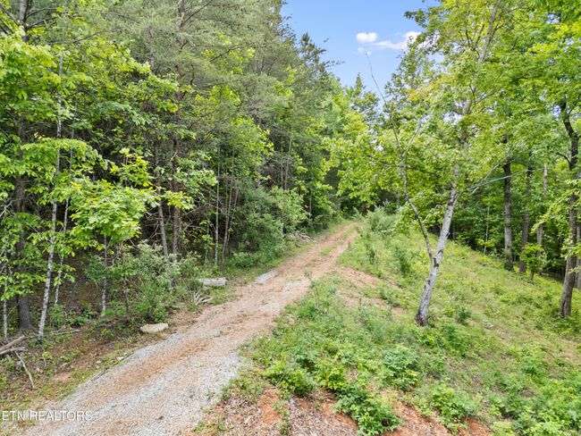 6 Shanghai Landing Ln, Home with 0 bedrooms, 0 bathrooms and null parking in La Follette TN | Image 16
