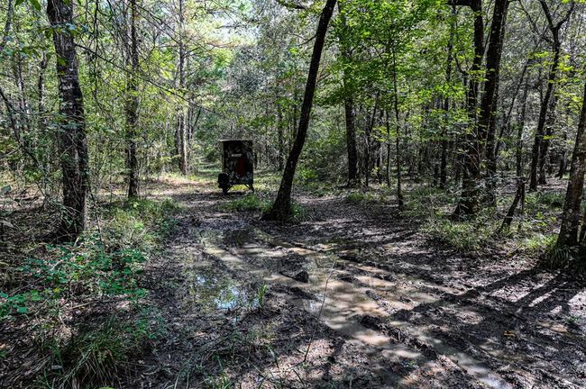 0 Highway 105, Home with 0 bedrooms, 0 bathrooms and null parking in Hull TX | Image 7