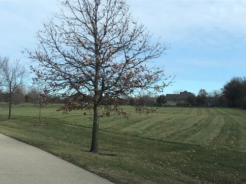 14916 Concord Ct, Wadsworth, IL, 60083-9575 | Card Image
