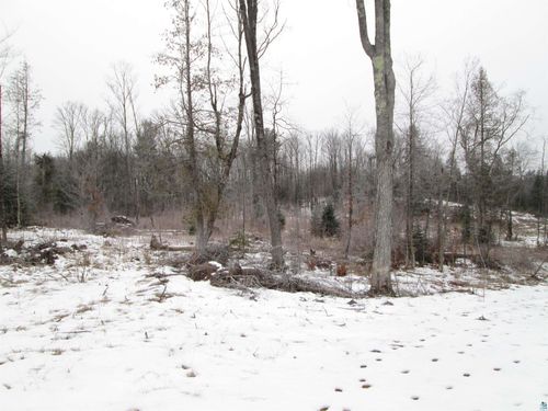80 acres County Rd L, Hawthorne, WI, 54874 | Card Image