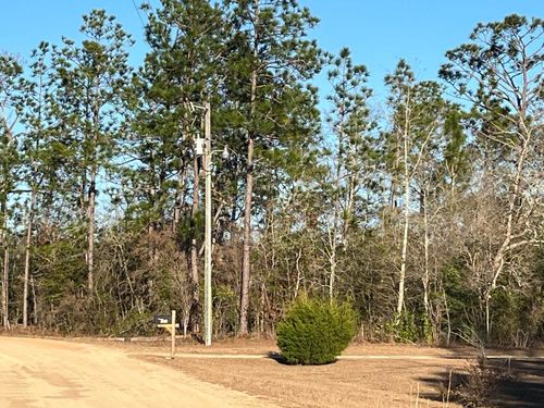 Tbd Goreville Ave, ALFORD, FL, 32420 | Card Image