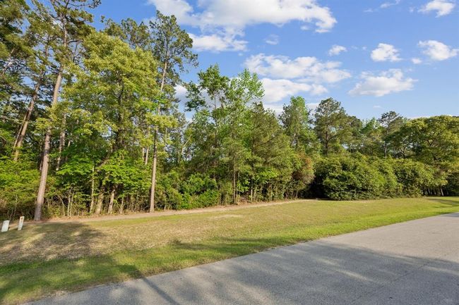 27318 Whispering Maple Way, Home with 0 bedrooms, 0 bathrooms and null parking in Spring TX | Image 9