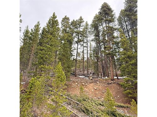 406 Glory Hole Rd, Idaho Springs, CO, 80452 | Card Image