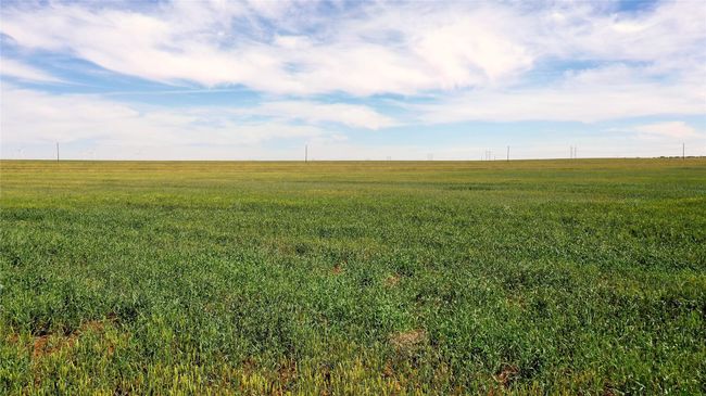 330 County Road 404, Home with 0 bedrooms, 0 bathrooms and null parking in Loraine TX | Image 4