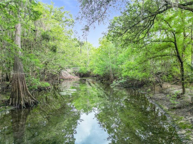 There is a private boat launch area in the neighborhood for residents only. You can enjoy the natural beauty from a kayak or small boat. | Image 51