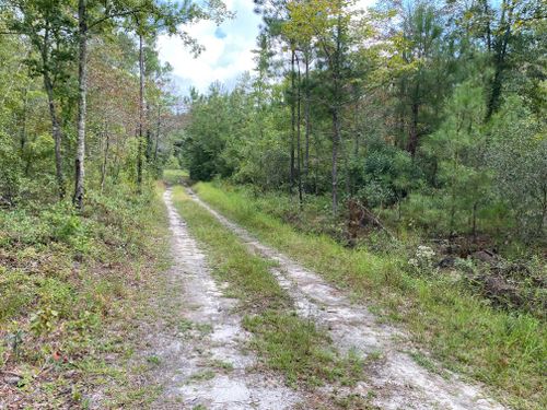 0 Great Swamp Road, Walterboro, SC, 29488 | Card Image