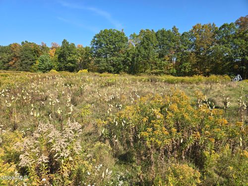 L23 Sunny Hill Acres, Greenville, NY, 12083 | Card Image