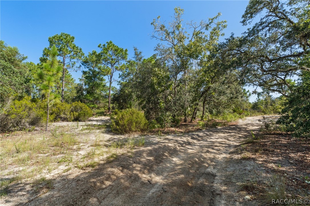Land in Dunnellon 2