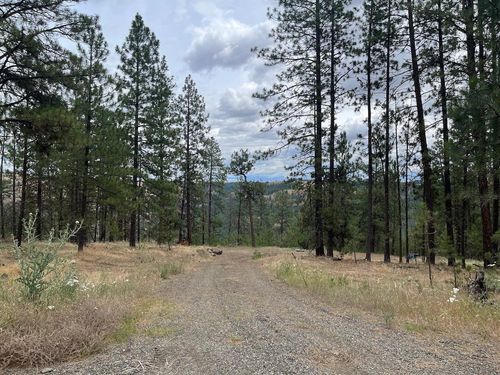 31676 Sontag Ridge E Dr, Davenport, WA, 99122 | Card Image