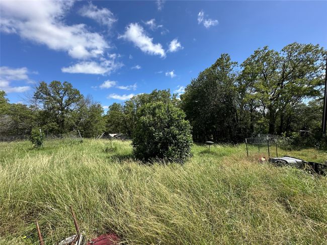 View of nature | Image 18