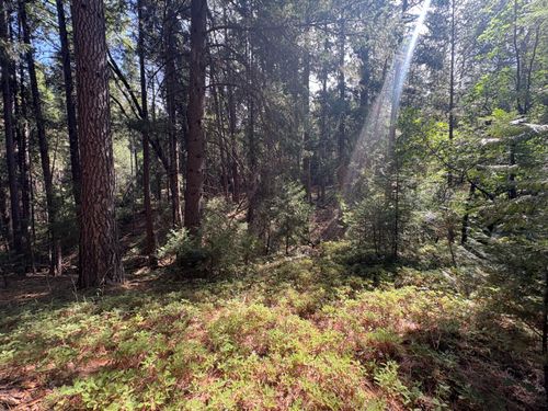 5483 Poor Mans Way, Wilseyville, CA, 95257-9719 | Card Image