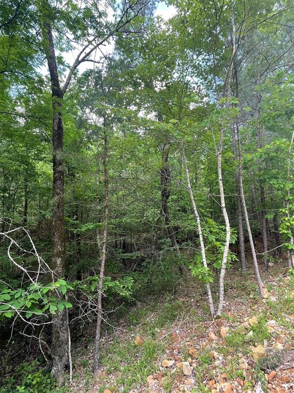 Land in Broken Bow