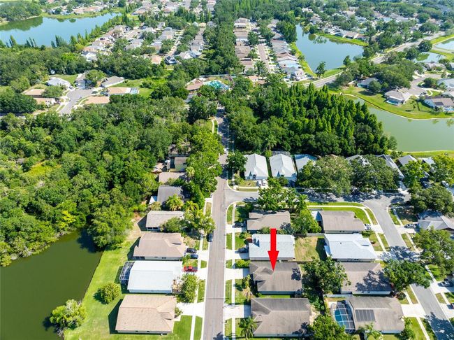 2024 Glen Forge St, House other with 3 bedrooms, 2 bathrooms and null parking in Brandon FL | Image 42