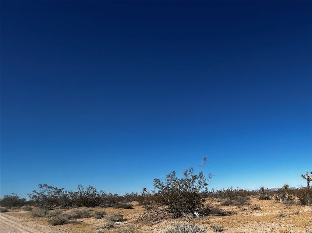 Land in Joshua Tree 2