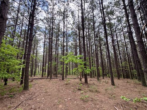 132 Rocky Top Dr, Hohenwald, TN, 38462 | Card Image