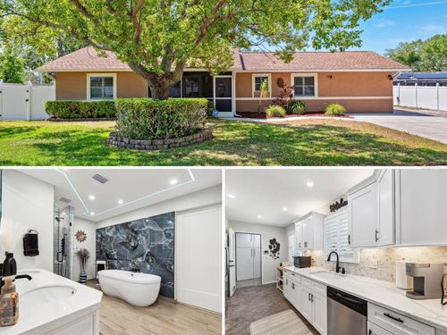 506 Spring Tree Ct, Tarpon Springs, FL, 34689-3851 | Card Image