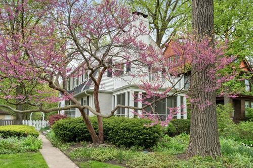 2311 Park Pl, Evanston, IL, 60201-1430 | Card Image