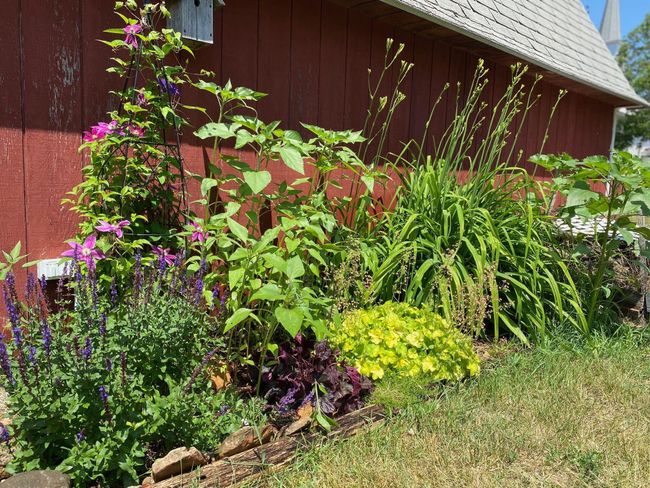 Barn landscape | Image 49
