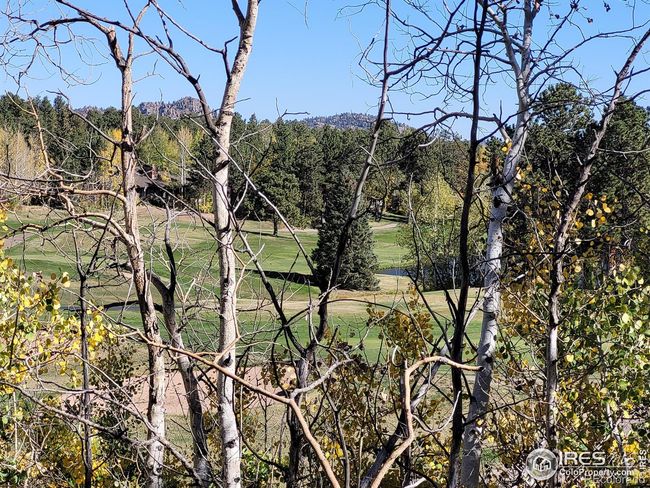 70 Northwoods Dr, Home with 0 bedrooms, 0 bathrooms and null parking in Red Feather Lakes CO | Image 8