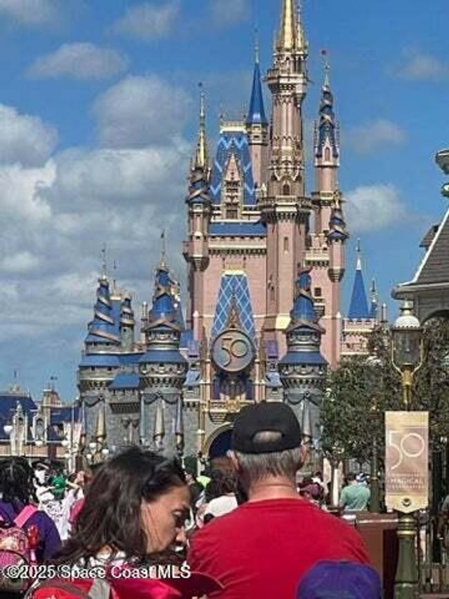 Disney is nearby. Book your showings now! | Image 35