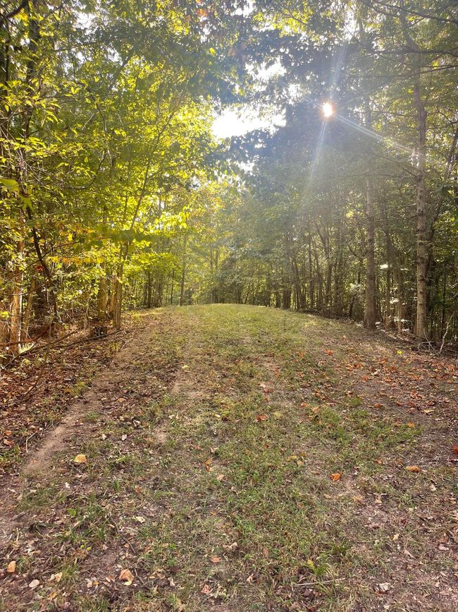 450 County Road 28, House other with 4 bedrooms, 3 bathrooms and null parking in Calhoun TN | Image 129
