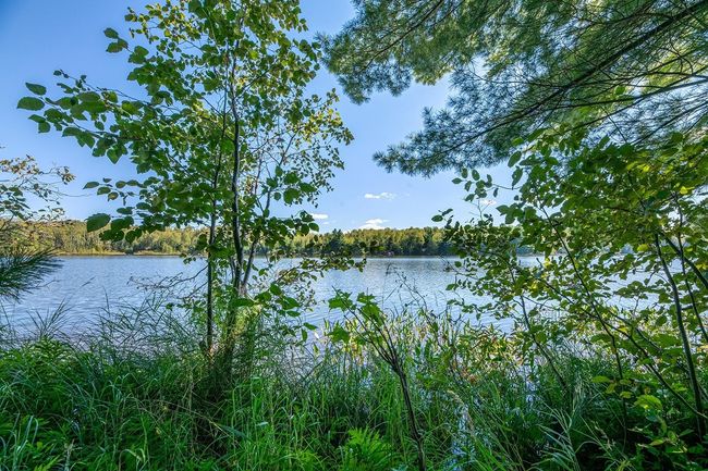 Lot 2 E Amber Lake Rd, Home with 0 bedrooms, 0 bathrooms and null parking in Lac du Flambeau WI | Image 8