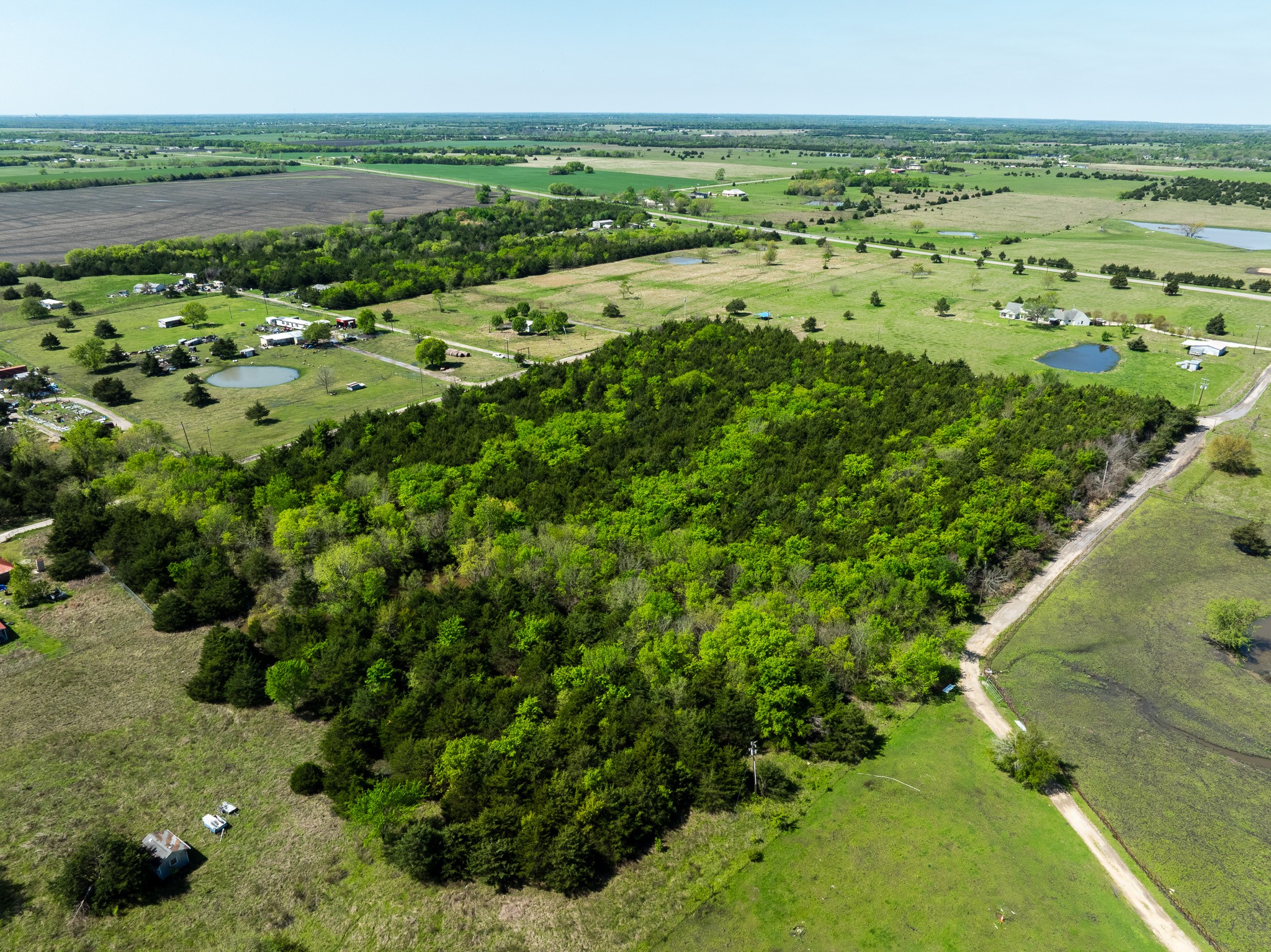 Land in Wolfe City 5