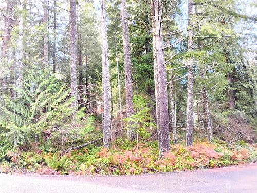 78 Fir Park Ln, Packwood, WA, 98361 | Card Image