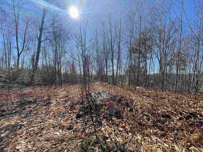 63 New Boston Rd, Home with 0 bedrooms, 0 bathrooms and null parking in Francestown NH | Image 30