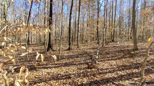 00B Sullivan Rd, Home with 0 bedrooms, 0 bathrooms and null parking in Laurens SC | Image 9