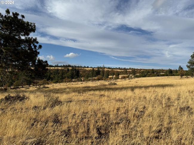 0 Jensen Quarry Rd, Home with 0 bedrooms, 0 bathrooms and null parking in Bickleton WA | Image 11