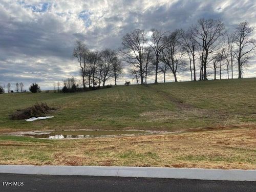 Lot 14 Cattlemans Trail, Jonesborough, TN, 37659 | Card Image