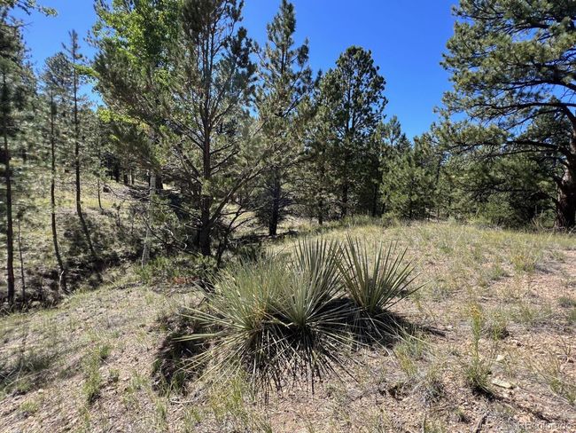 82 Kiowa Cir, Home with 0 bedrooms, 0 bathrooms and null parking in Westcliffe CO | Image 10