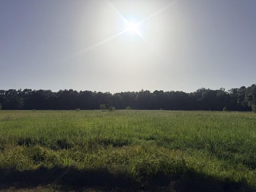25 Rack Rd Parcel 2, Picayune, MS, 39466 | Card Image