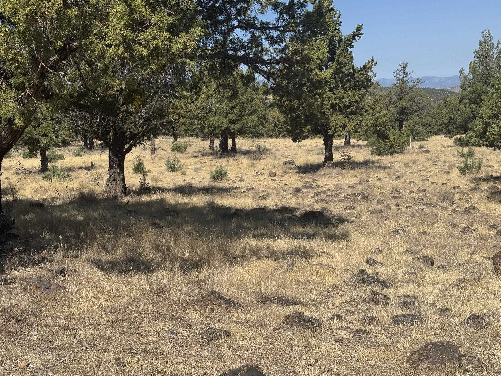 Land in Weed 5
