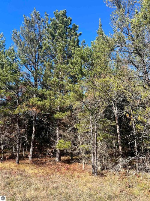 0000 E North Down River Rd, Grayling, MI, 49738 | Card Image
