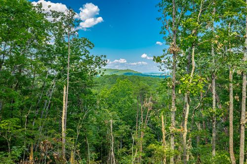 0 Clearview Dr, Ringgold, GA, 30736 | Card Image