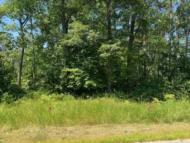 11 Scenic Overlook, Home with 0 bedrooms, 0 bathrooms and null parking in Breezy Point MN | Image 9