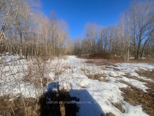 00 Lot 1 County Rd 10, Westport, ON, K0G1X0 | Card Image