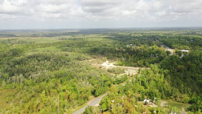 2771 S Highway 71, Home with 0 bedrooms, 0 bathrooms and null parking in Wewahitchka FL | Image 13
