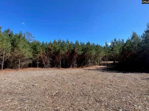 1938 Old Georgetown Rd W, Cassatt, SC, 29032-9381 | Card Image