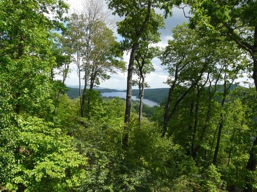 TBD Panther Rdg, Lake Toxaway, NC, 28747 | Card Image