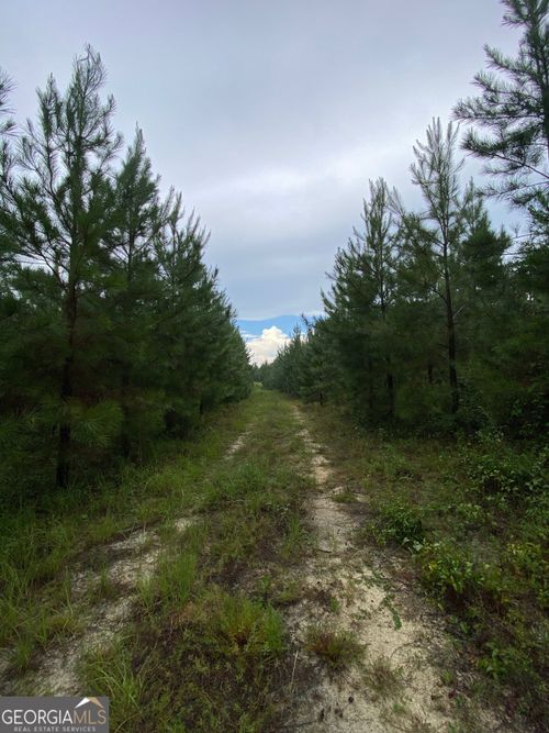 0 Ga Highway 242, Bartow, GA, 30413 | Card Image