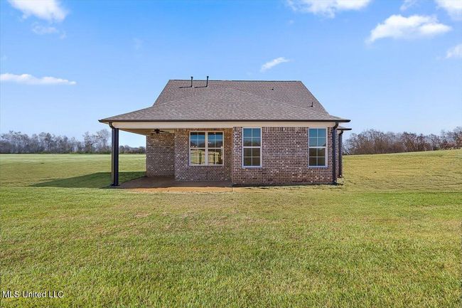 Panola | Image 38