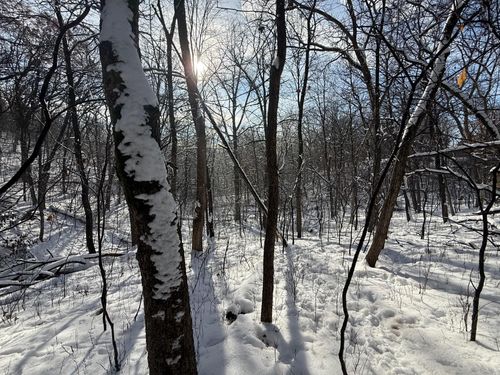 197xx Proctor Rd Nw, Elk River, MN, 55330 | Card Image