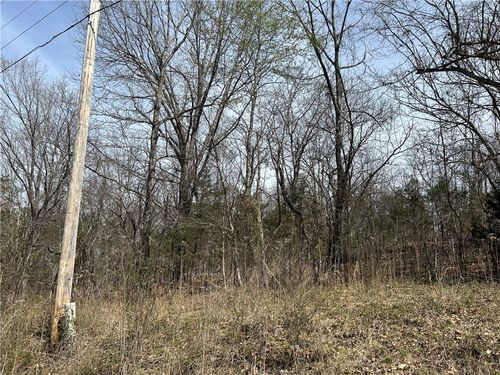 TBD Trammell Dr, Lowell, AR, 72745 | Card Image