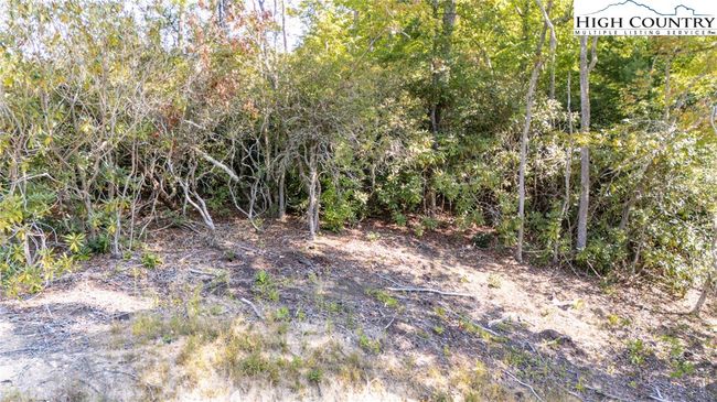 15 - 0 Clear Creek Drive, Home with 0 bedrooms, 0 bathrooms and null parking in Spruce Pine NC | Image 15